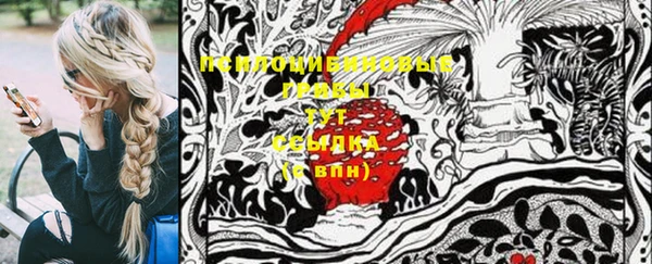МДПВ Володарск